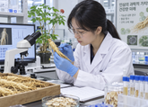 What Meta-Analyses Tell Us: Ginseng Has Not Been Shown to Significantly Raise Blood Pressure