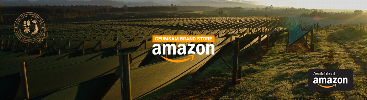 GEUMSAM